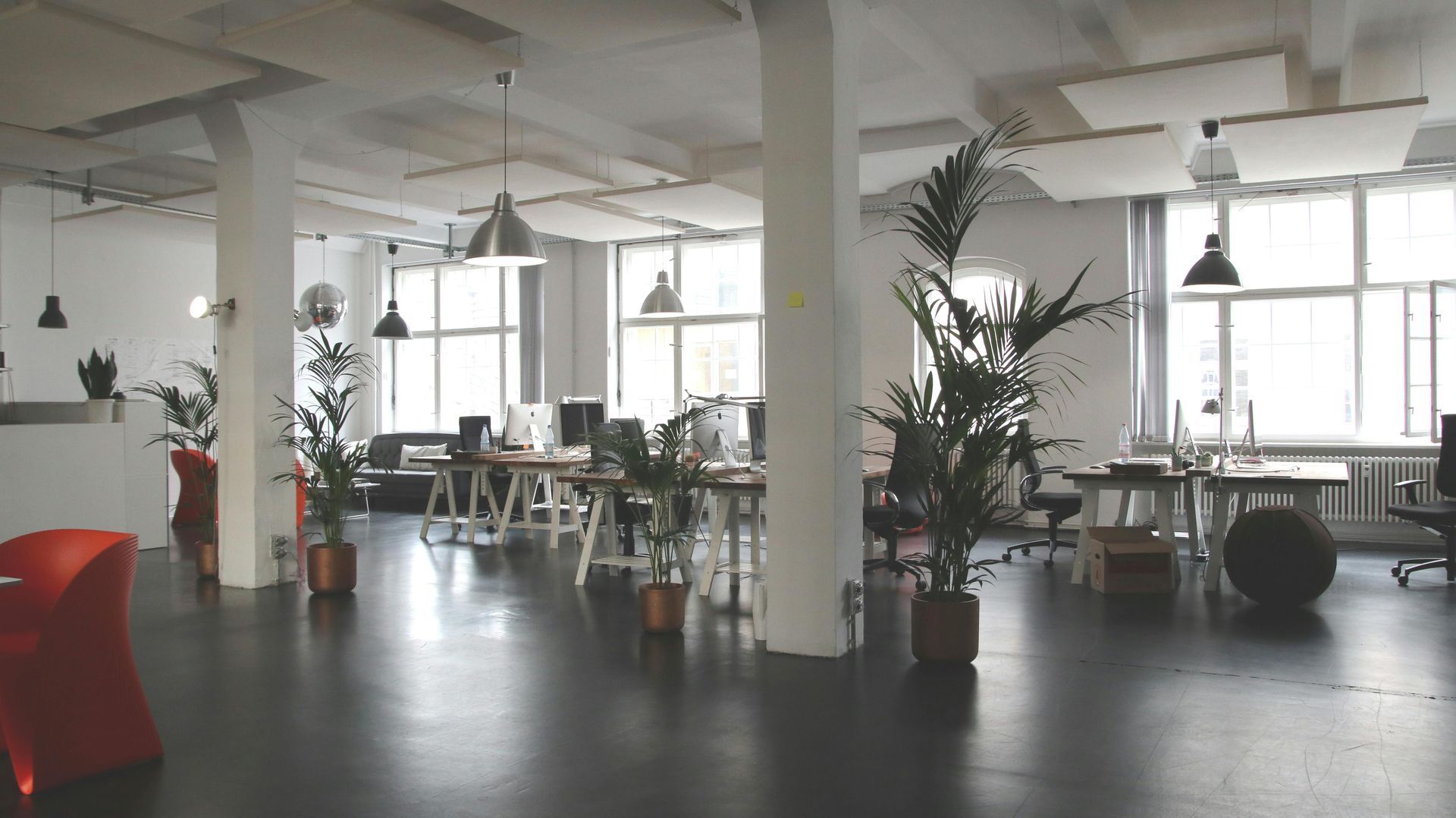 Bright office space with desks, plants, and large windows.