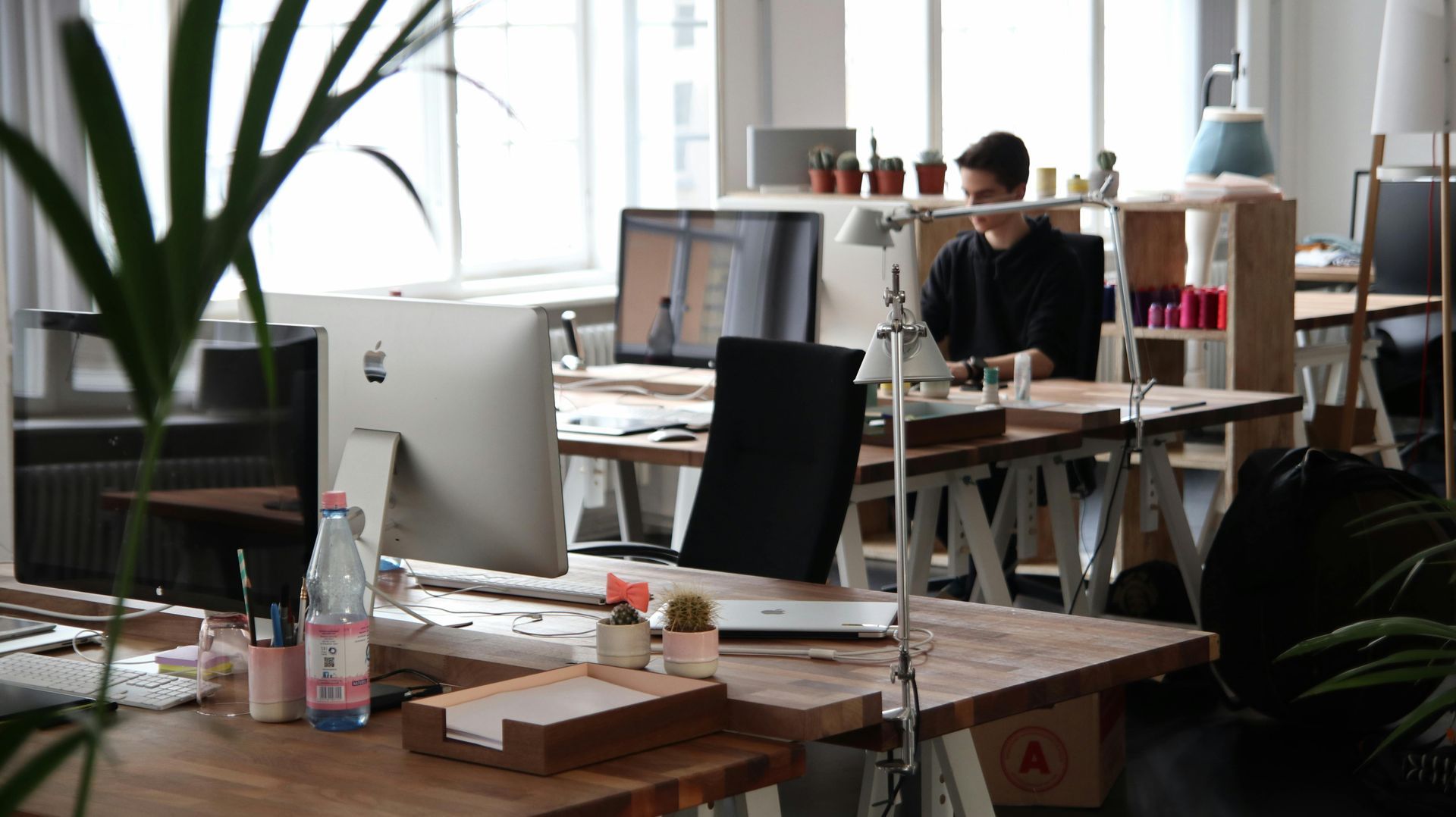 Person working at a desk in a well-lit office. A computer, plants, and other objects are on the desk.